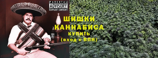 Альфа ПВП Верея