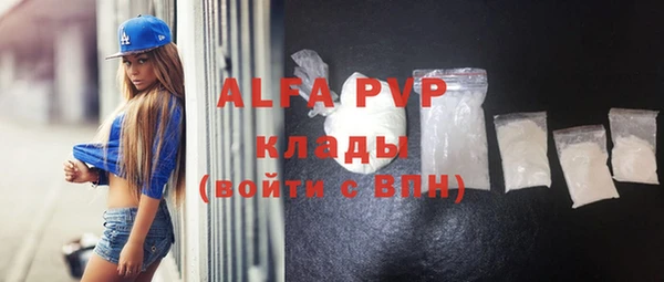 Альфа ПВП Верея