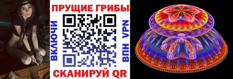 Купить где Приморск Псилоцибиновые грибы прущие грибы